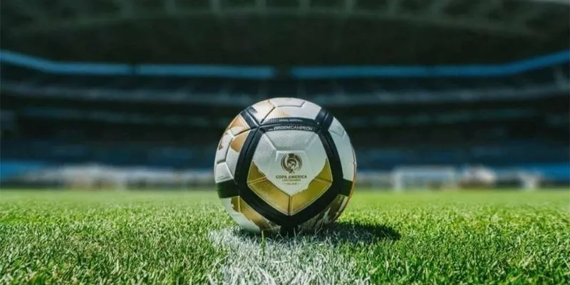 Kinh nghiệm bắt kèo rung từ những tay lão làng